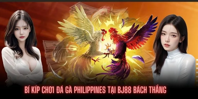 Mẹo chơi Đá gà Philippines tại BJ88 thắng cả năm